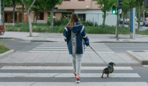 dog walker