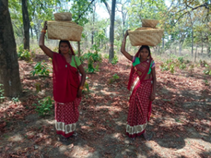 Inclusion of 14 New Minor Forest produce items under the Mechanism for Marketing of Minor Forest Produce through Minimum Support Price scheme