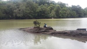 Dandeli