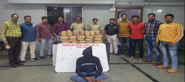 Ganja seized by Bibvewadi police