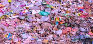 Plastic Ban