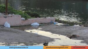 Polluted River