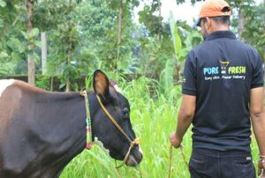 Puresh Milk