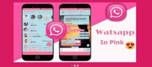 Whatsapp Pink