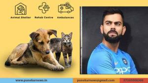 virat animal