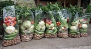Vegetable Agriculture