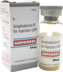 amphotericin-b-for-injection-28lyophilized-29-500x500
