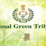 NGT Issues Show-Cause Notice to Pune Collector’s Office Over Absence in Tree Felling Hearing