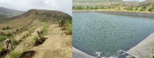 army environment plantation drive Pune