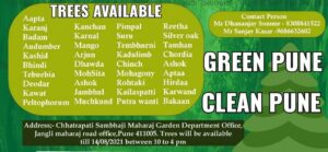 green pune