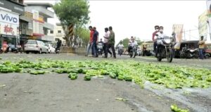 Pune Farmer Distributes Capsicum For Free