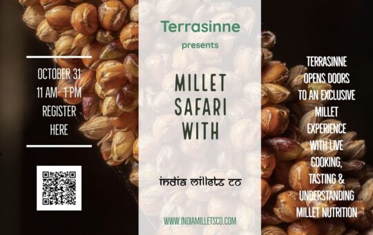 Understand the richness of millets and simplify cooking