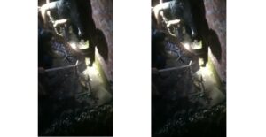 leopard caught in Pune after attacking man on morning walk