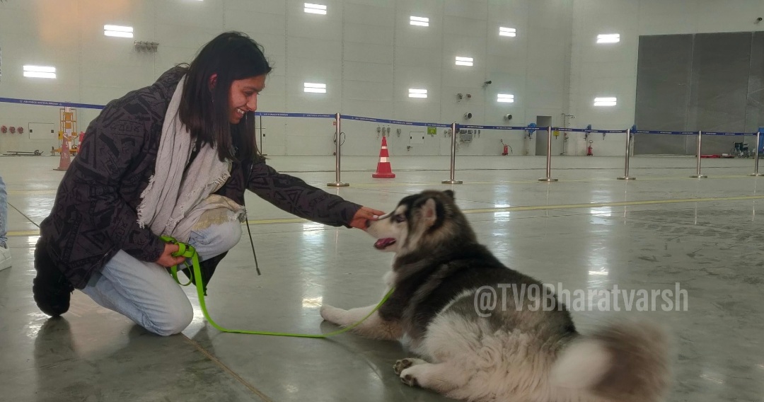 Student From Pune Studying In Ukraine Brings Her Pet Dog To India