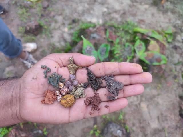 Pune: Experts To Study Seven Coloured Soil At Raireshwar Plateau