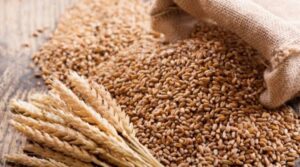 Wheat