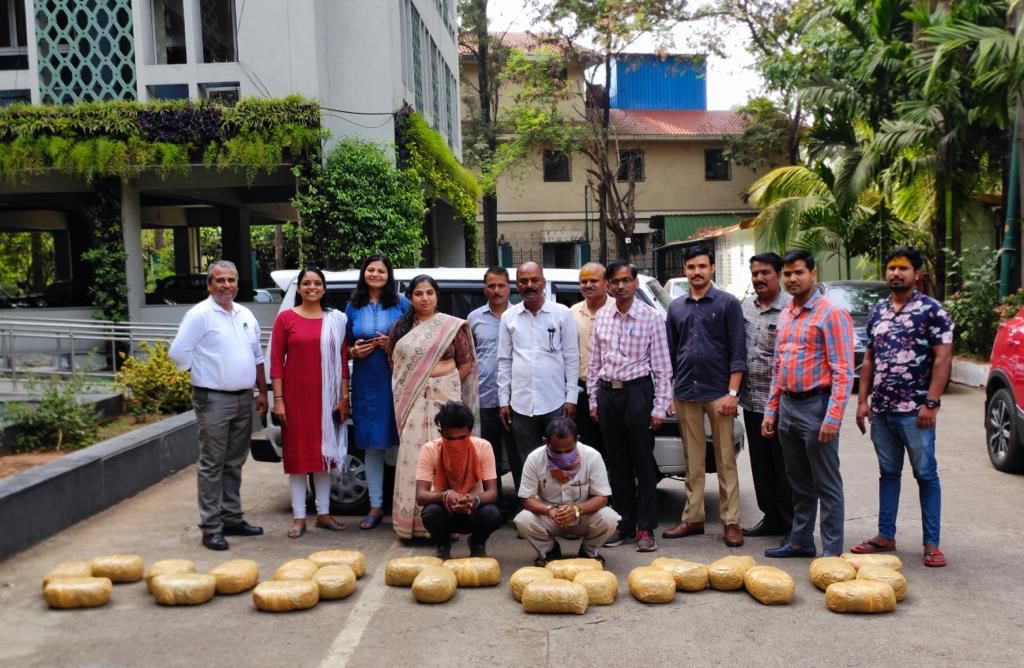 Pune Customs Seizes 51 kg Ganja