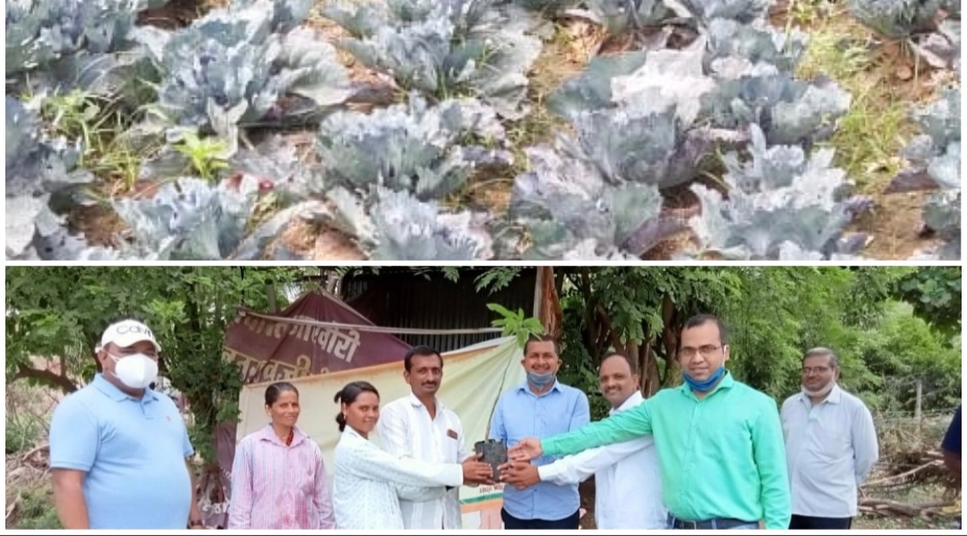 Swiggy Instamart To Expand Selection Of Fresh Fruits And Vegetables In