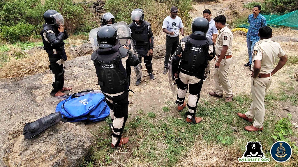 Wildlife SOS and Forest Department team gearing up for the rescue operation