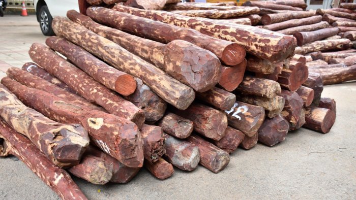red-sander-dh-1091943-1647445589