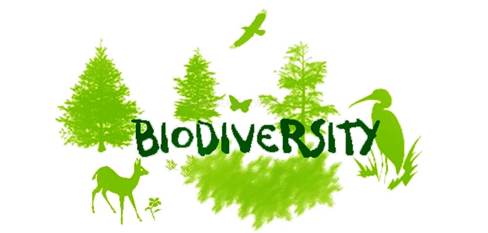 Biodiversity