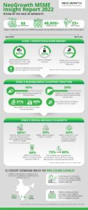 Infographic_MSME Insight Report
