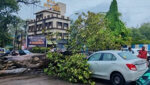 Tree Fall on Cars In Pune