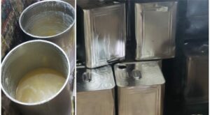 Adulted Ghee