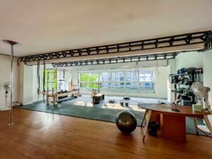 Athenova Fit Pune