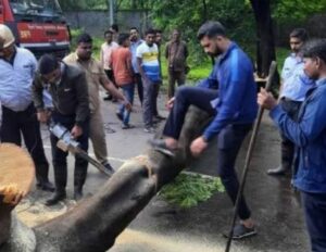 Tree Fall On Bike Pune