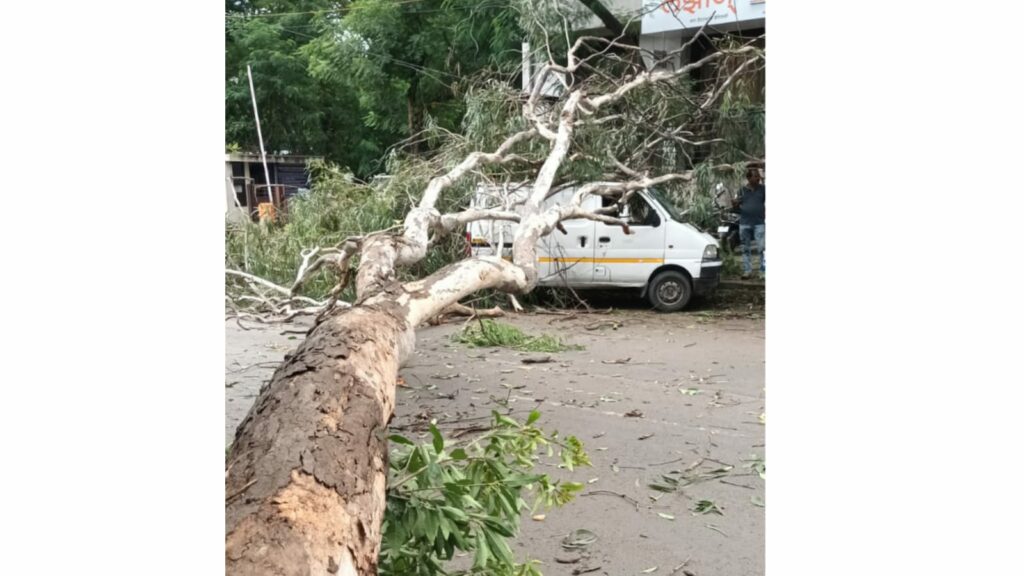 Pune: Tree Falls On Van In Viman Nagar, Narrow Escape For Students