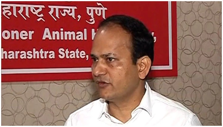 Maharashtra: Animal Husbandry Commissioner Introduces Helpline Numbers For Lumpy Disease – Punekar News Maharashtra: Animal Husbandry Commissioner Introduces Helpline Numbers For Lumpy Disease – Punekar News