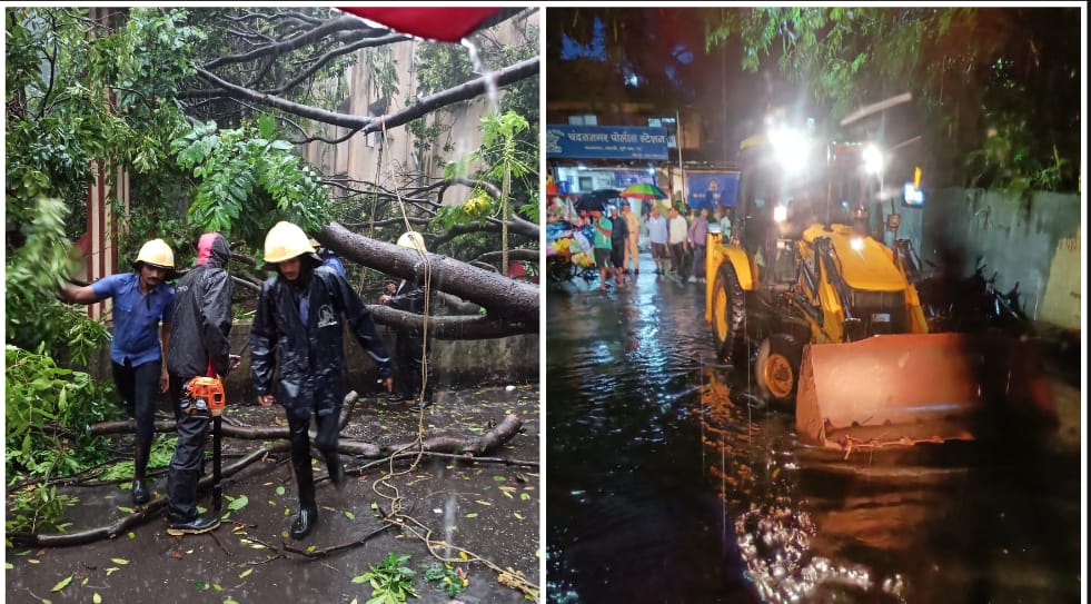 Multiple Incidents Of Tree Falls And Water Logging Across Pune Rain