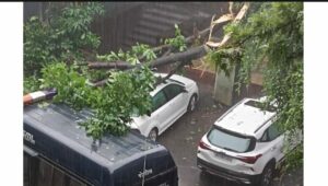 Rain Pune September