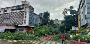Tree Fall Incidents In Pune