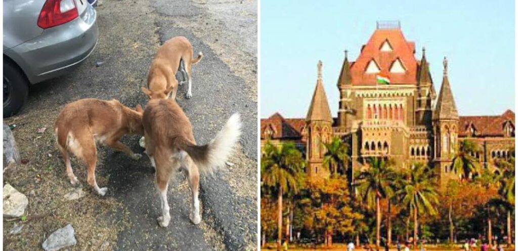 Bombay High Court