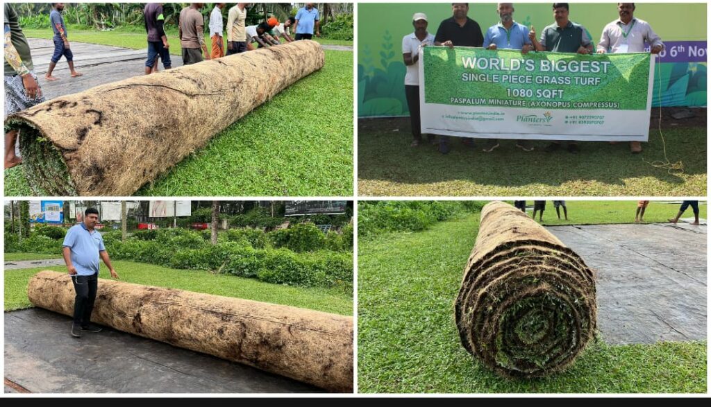 Pune Environmentalists Create Largest Natural Grass Carpet Punekar News