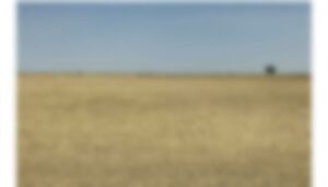 Land (2)