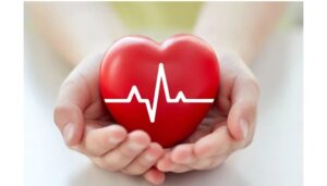 heart