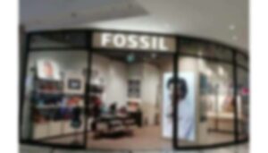 pheonix mall Fossil (1)
