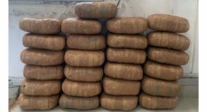 Pune Customs Foils Drug Trafficking Racket, Seizes 54kg of Ganja Marijuana