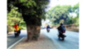 Missing Reflectors (1)