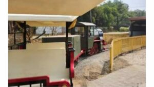 Phulrani Toy Train