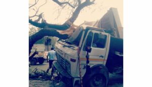 Dumper Collides With Tree
