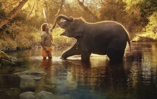 Elephant Whispers
