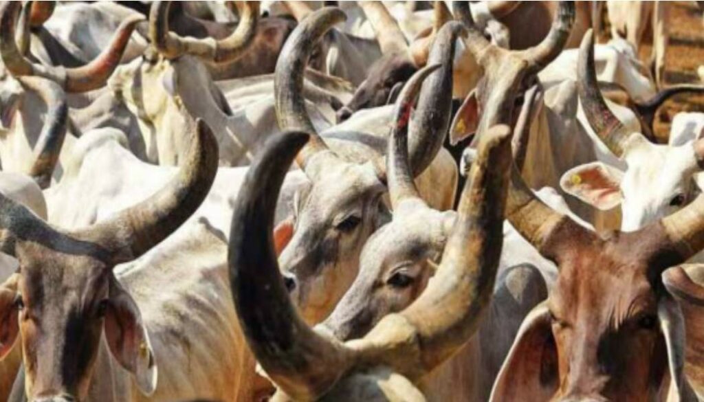 Gau Rakshak