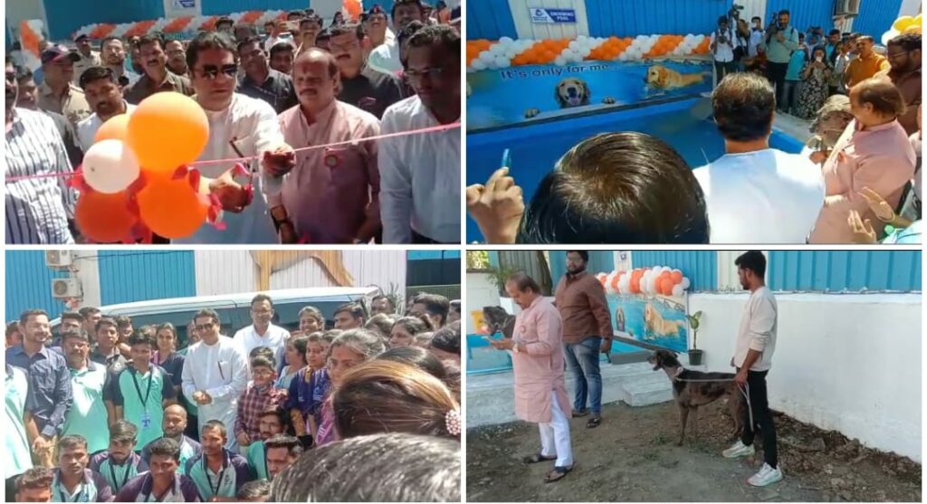 Pune: Universal Society Constructs Dog Point Capacity Of 300 Dogs