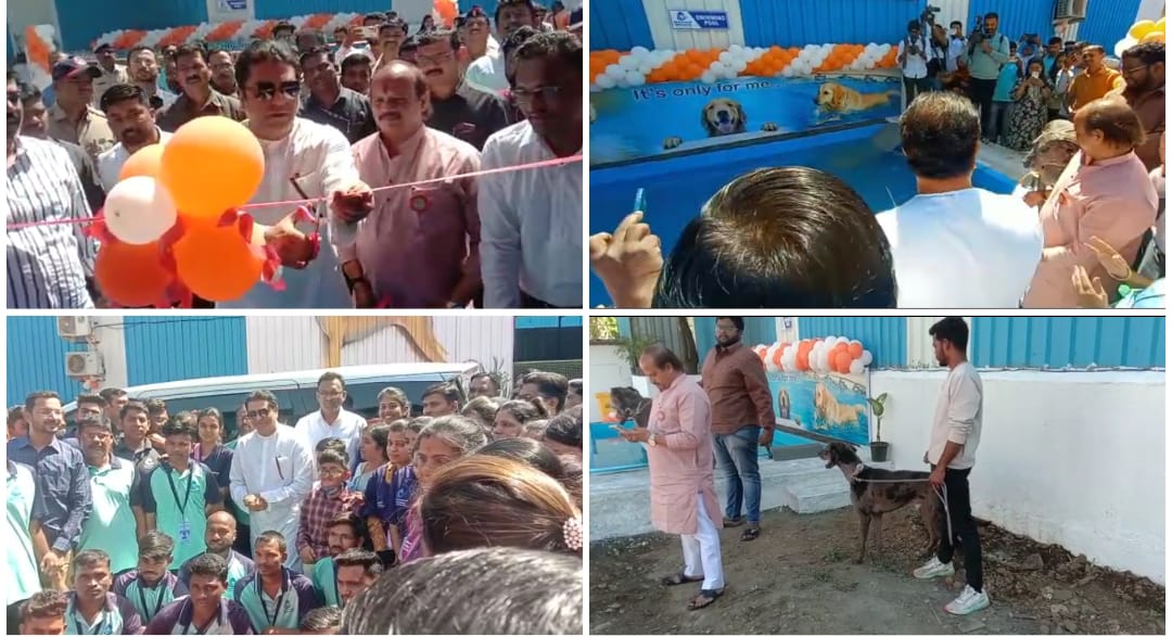 Pune: Universal Society Constructs Dog Point Capacity Of 300 Dogs