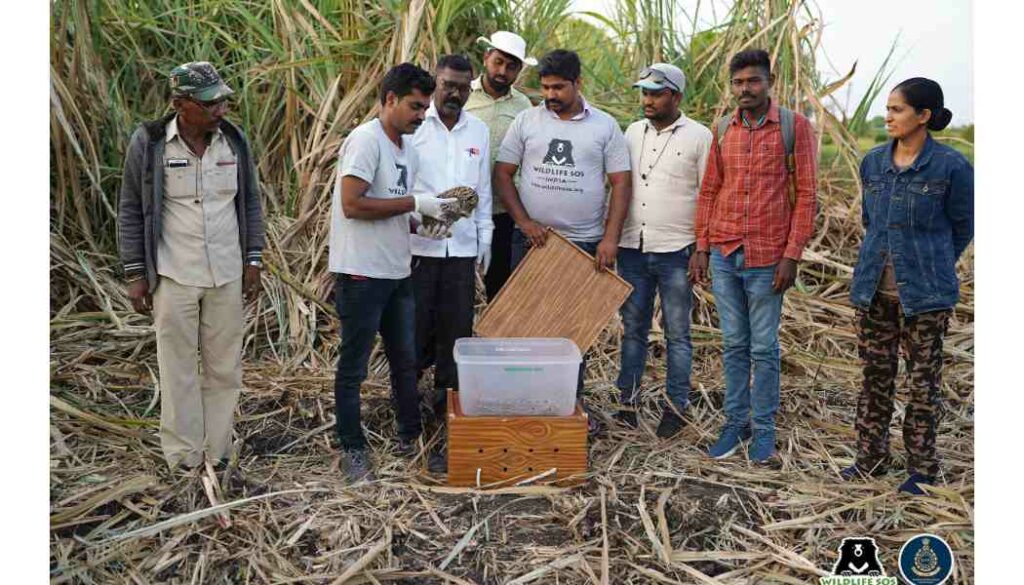 Maharashtra Forest Department