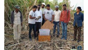 Maharashtra Forest Department